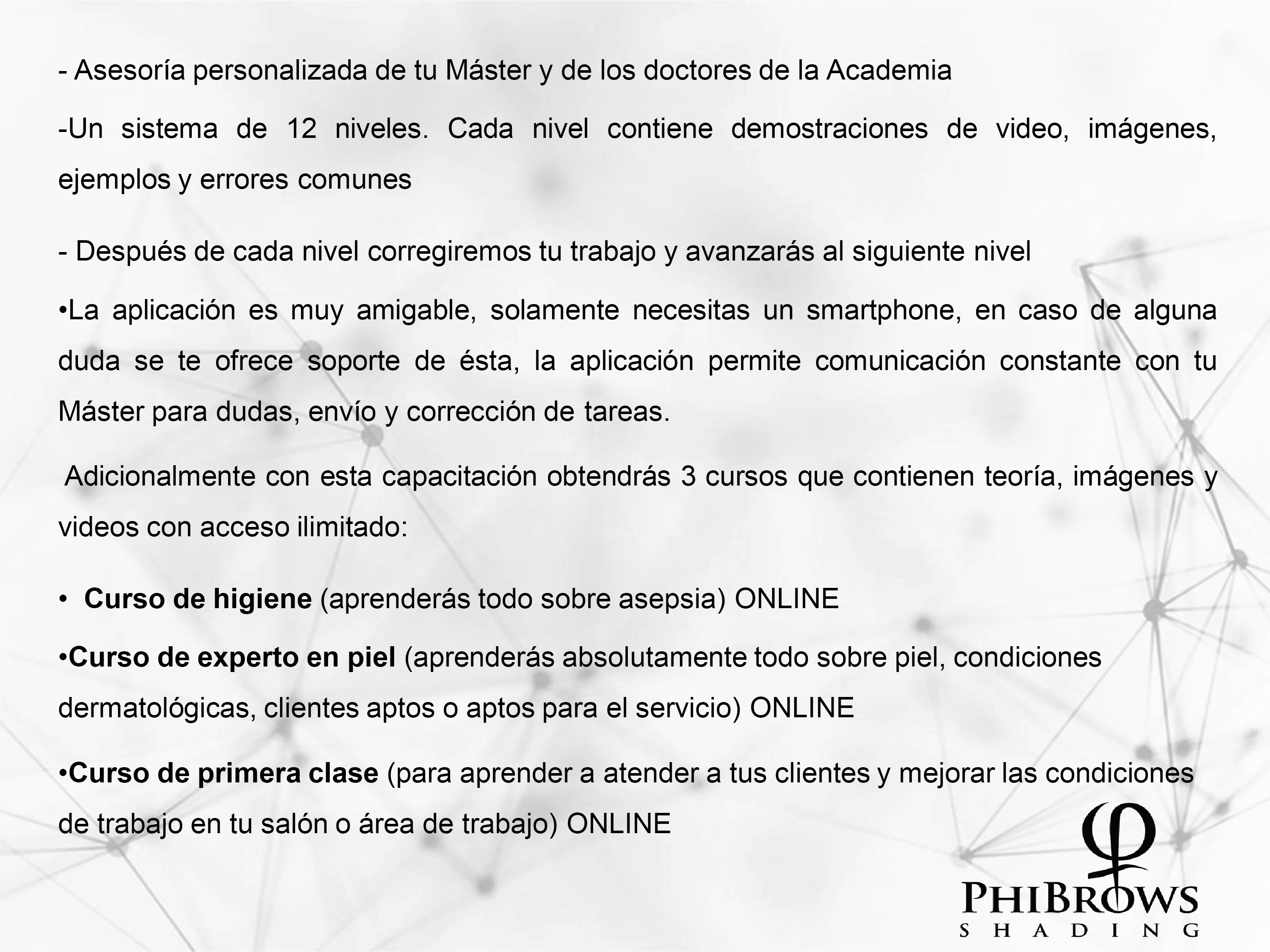 Phibrows Shading Online