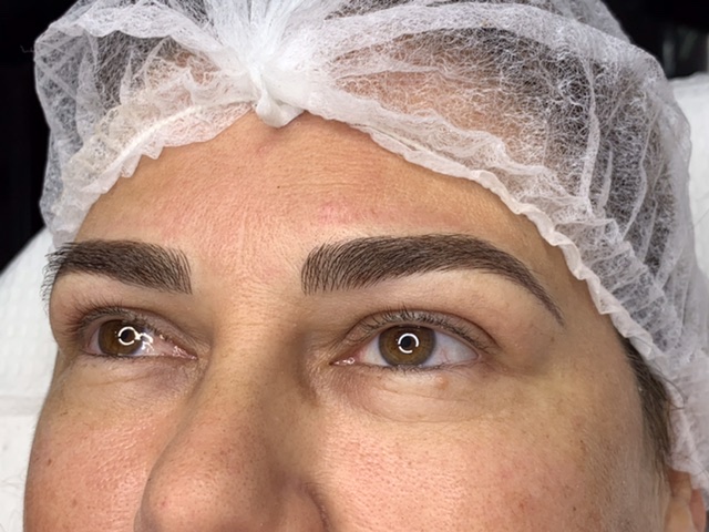 ULTRAREALISMO MANUAL