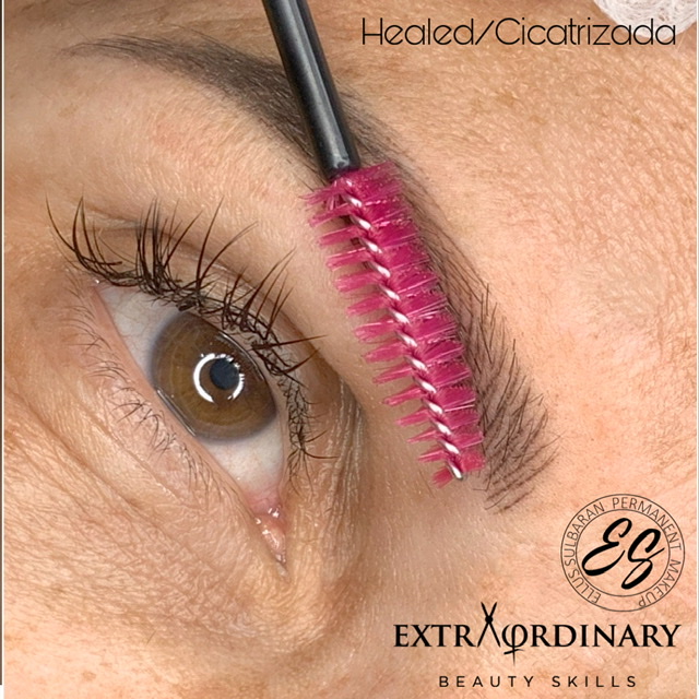 ULTRAREALISMO MANUAL