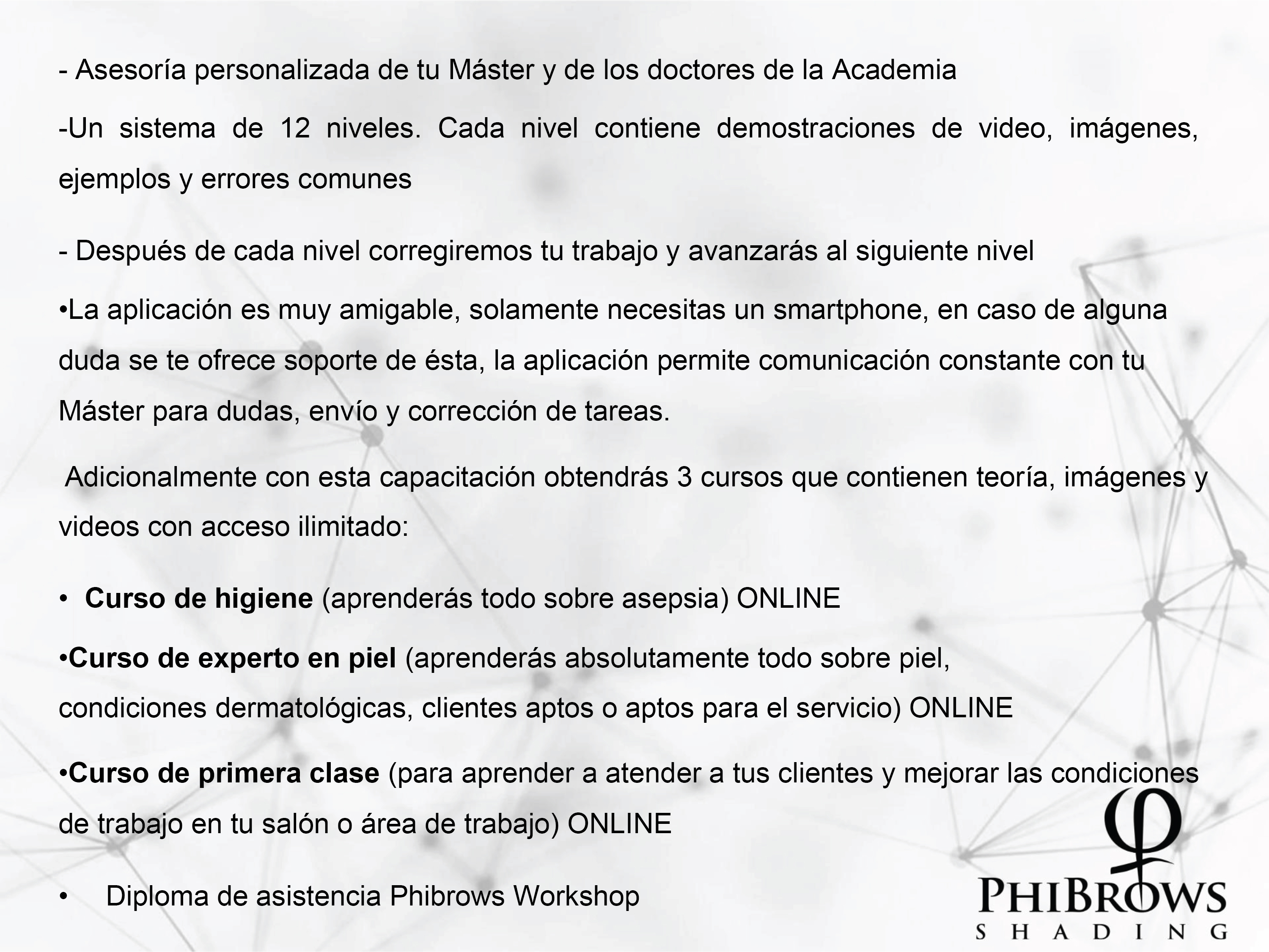 PhiBrows Shading Presencial