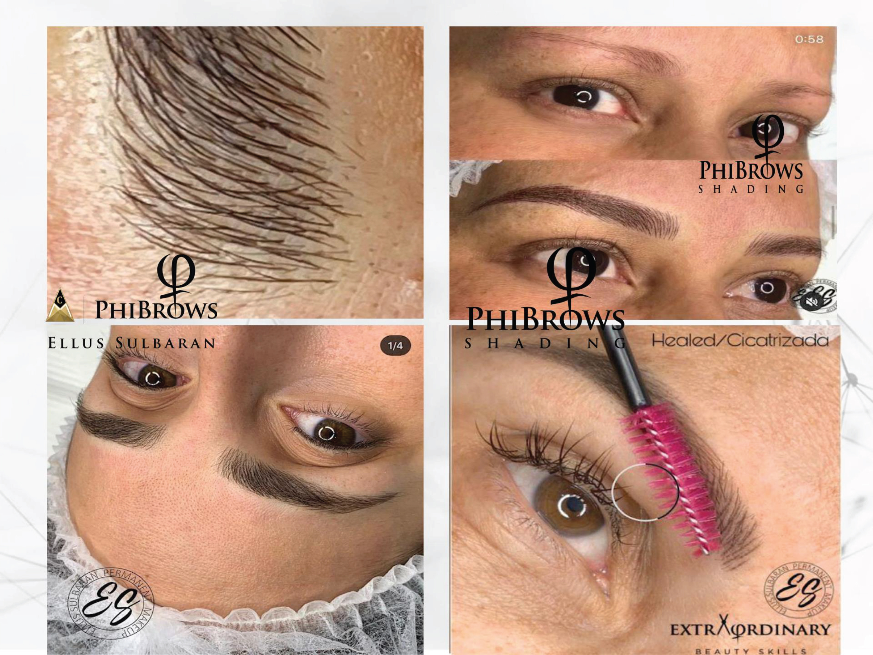 PhiBrows Shading Presencial