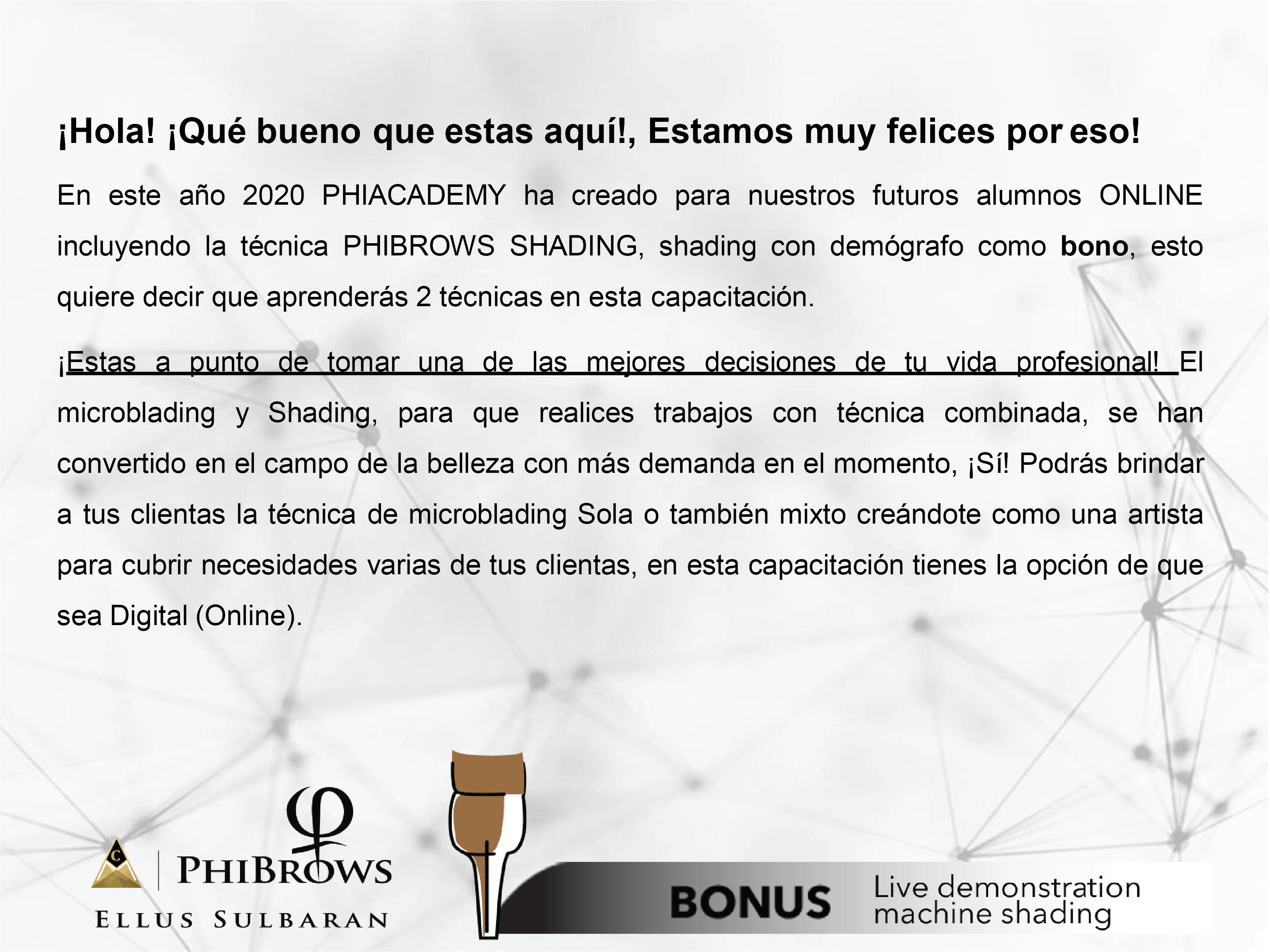 Phibrows Shading Online