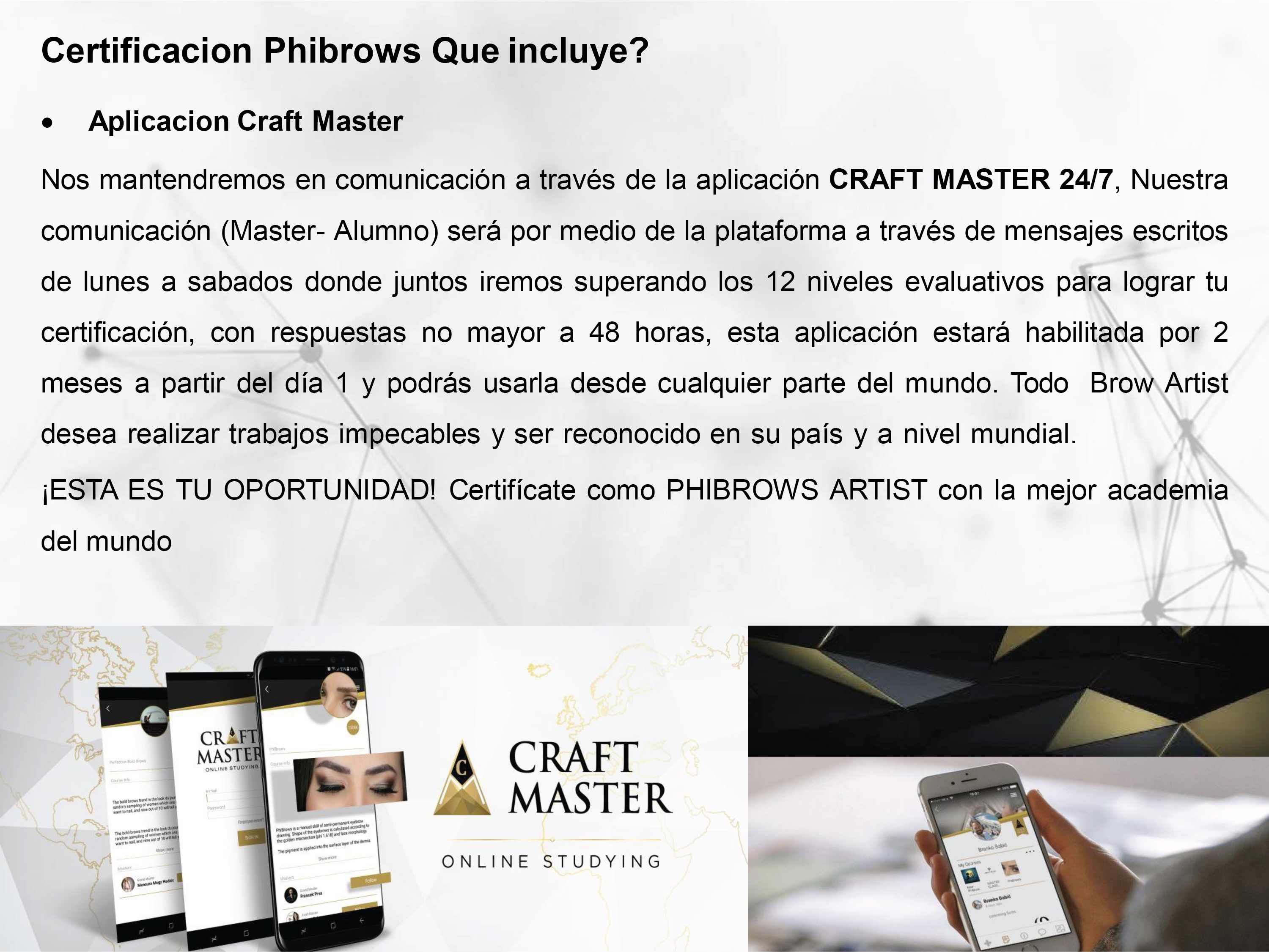 Phibrows Shading Online