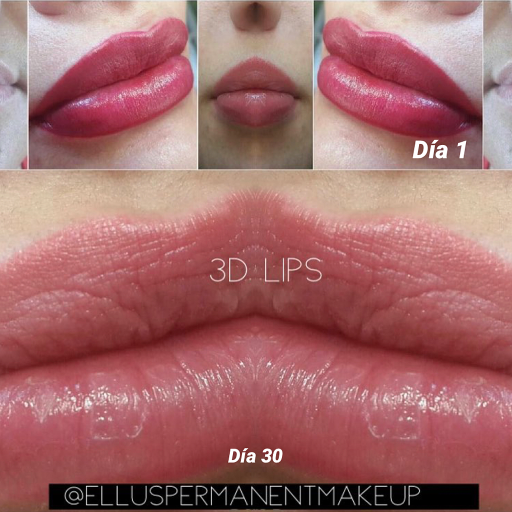 Ellus B lips